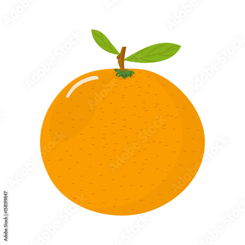 Mandarin icon. Vector illustration