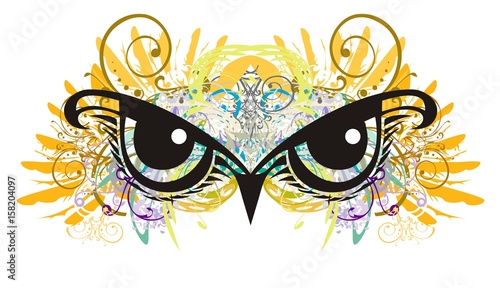 Owl eyes with floral elements splashes. Unusual owl eyes against eagle feathers in grunge style