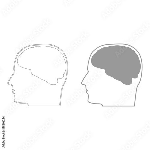 Head with brain the grey color icon .