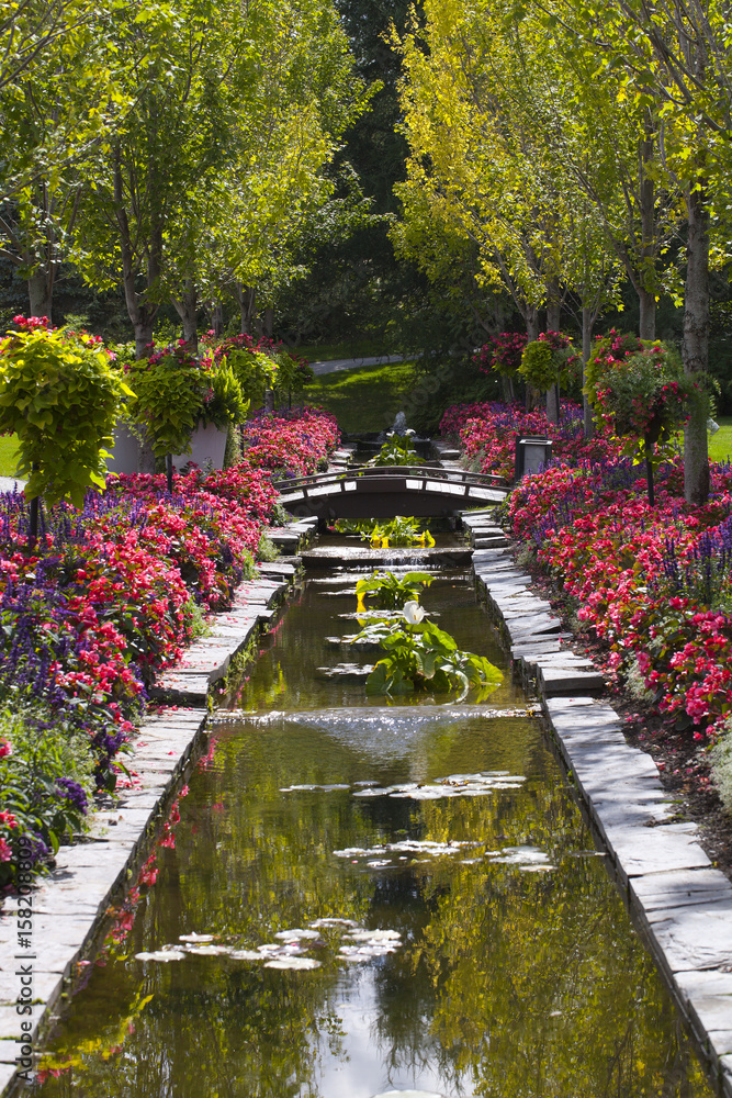 Beautiful flower garden with water lilies.