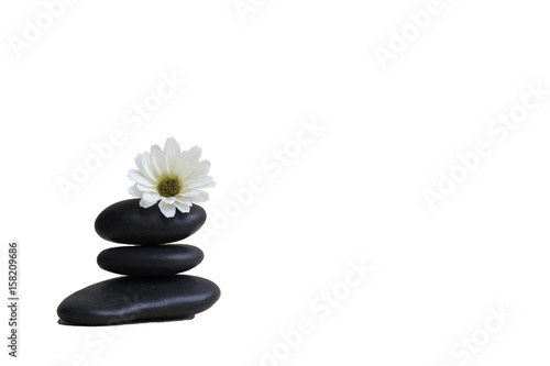 White flowers on three black stones isolated on white