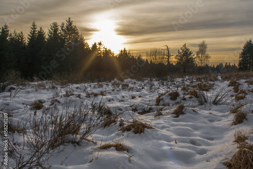 Winterlandschaft © Stephan Walochnik