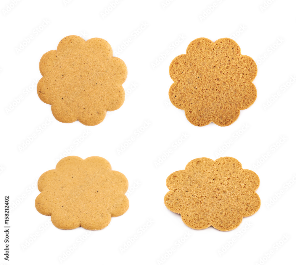 Single gingerbread cookie isolated Single gingerbread cookie isolated
