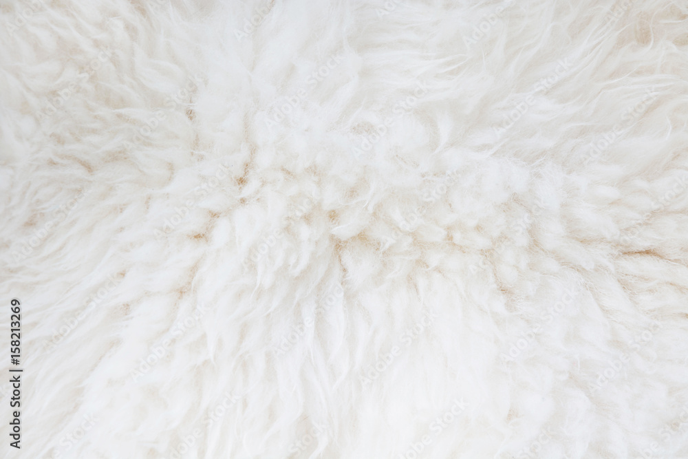 White fur close up background. Texture, abstract pattern. White fur close up background. Texture, abstract pattern.