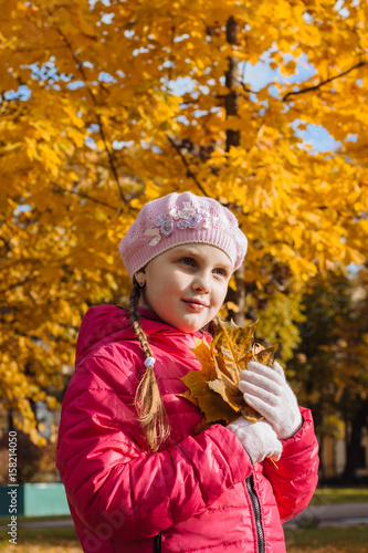 Adorable little girl in autumn park with leaves  collecting autumn bouquets of colorful fallen foliage  Autumn composition  bouquet of brightly colored red orange and yellow maple leaf