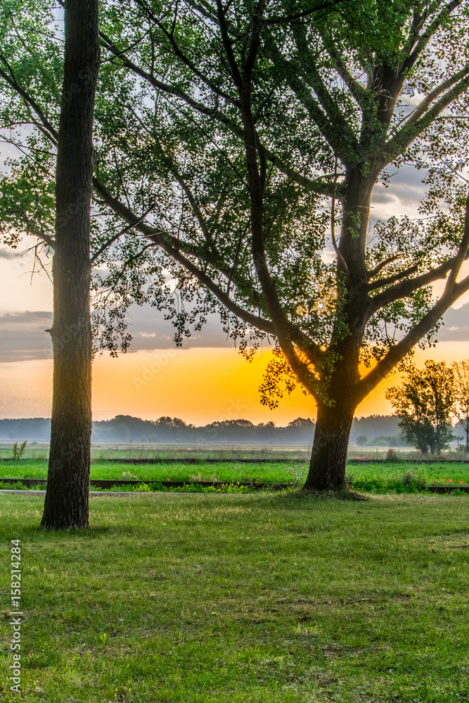 Obraz premium Amaneciendo