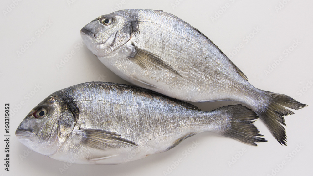 Dorado, sparus, bream fish, mediterranean diet Dorado, sparus, bream fish, mediterranean diet