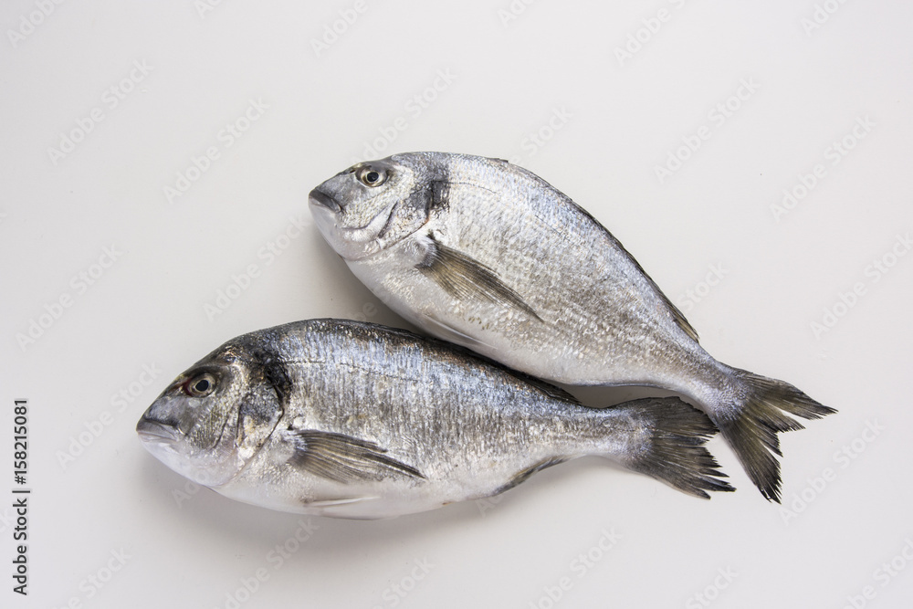 Fototapeta premium Dorado, sparus, bream fish, mediterranean diet