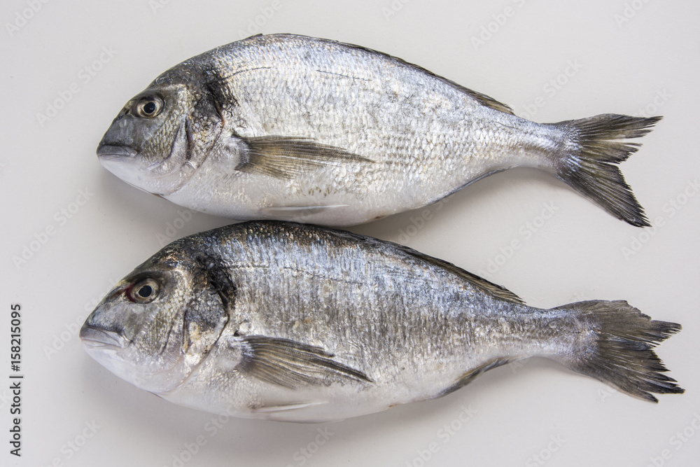 Dorado, sparus, bream fish, mediterranean diet Dorado, sparus, bream fish, mediterranean diet