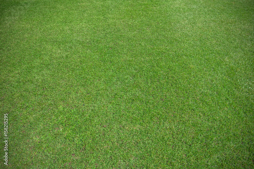 Green grass field for football