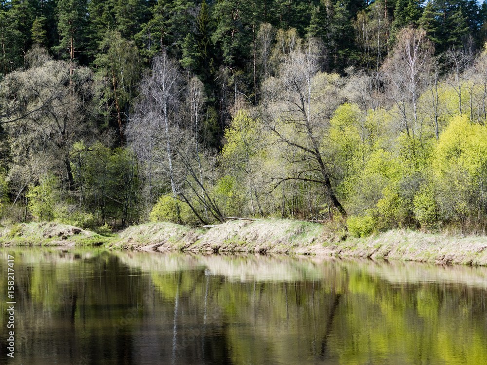 summer landscape of river