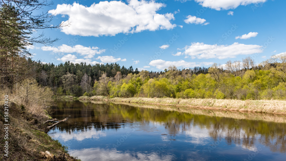 Fototapeta premium summer landscape of river