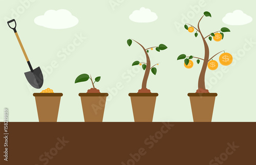 Colored Money Tree, Dependence of Financial Growth Flat Concept.