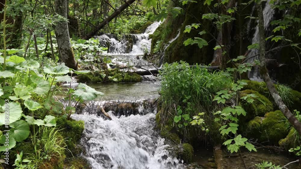 the natural wonder of Plitvice lakes national park, croatia the natural wonder of Plitvice lakes national park, croatia