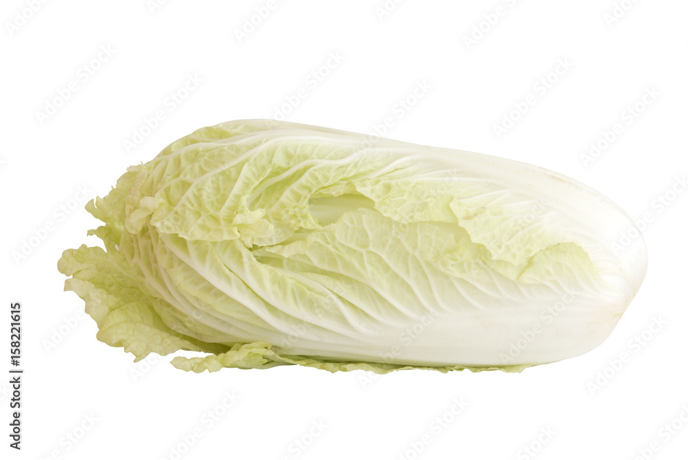 chinese cabbage on white background chinese cabbage on white background