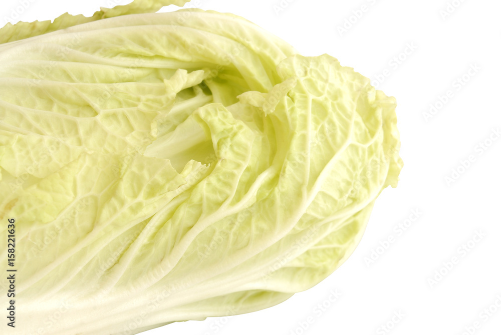 chinese cabbage closeup chinese cabbage closeup