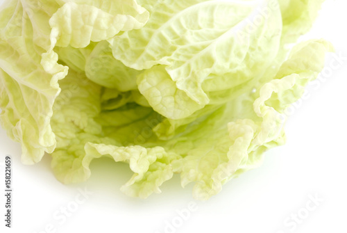  chinese cabbage closeup