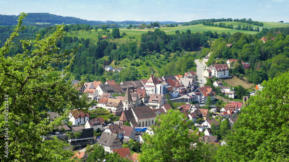 Blick von oben auf Stadtkern Wildberg im Nordschwarzwald