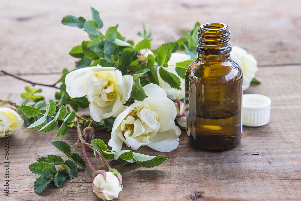 vial with essential oil from wild white rose flowers vial with essential oil from wild white rose flowers
