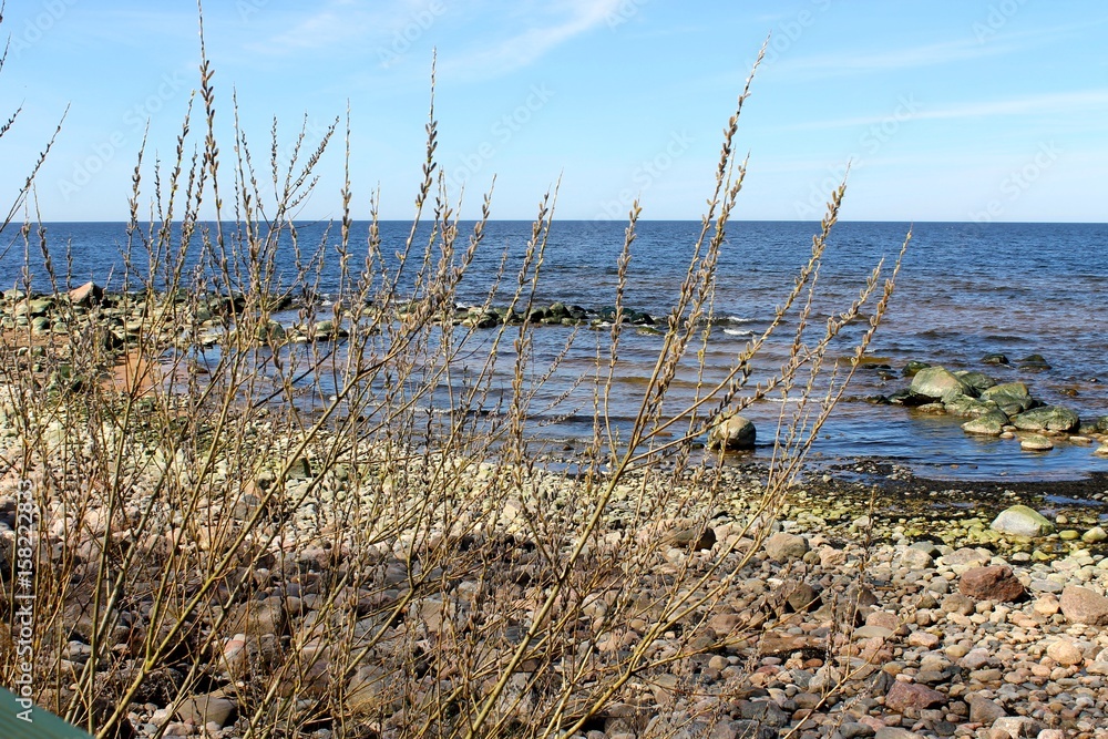 Stone coast in Latvia, Springtime