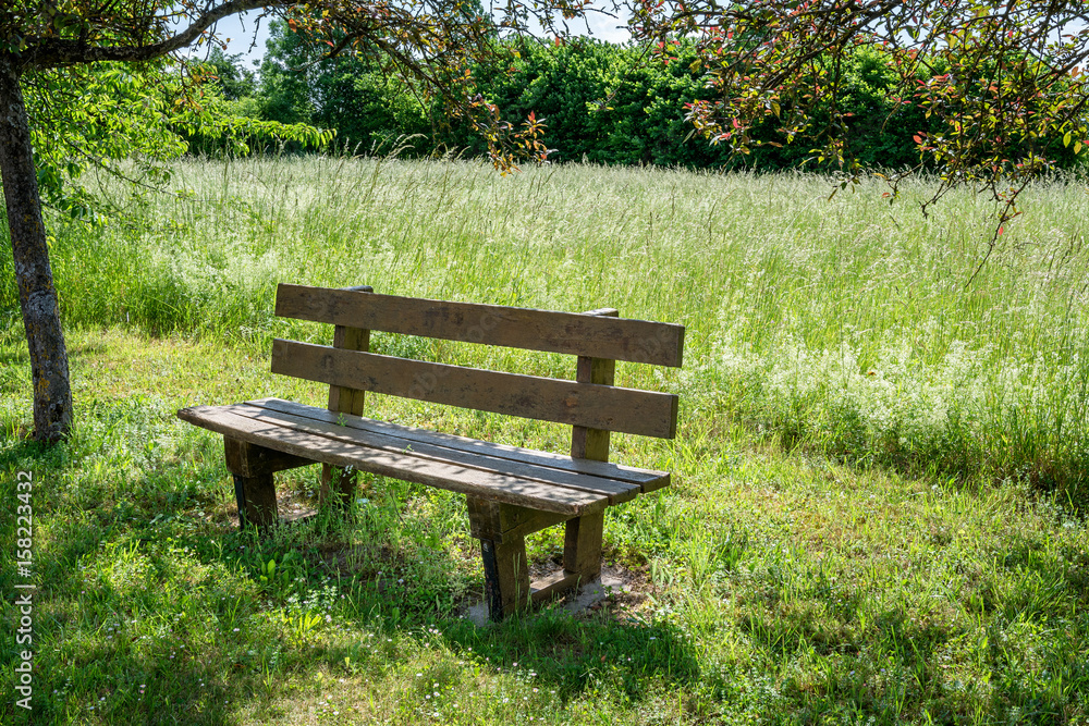 French countryside. A bench at the edge of the road somewhere in Lorraine.