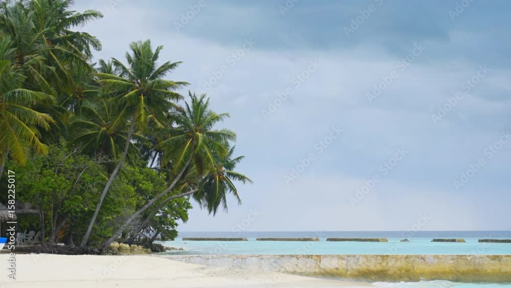 Palm Trees over Pristine Tropical Beach in the Maldives