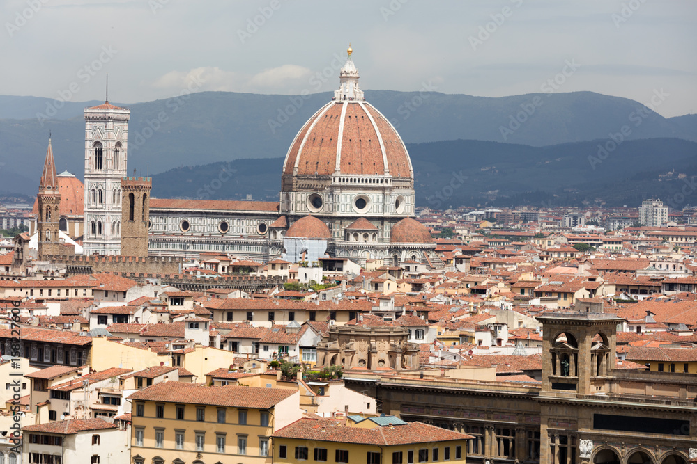 Landscape of Florence from roots, Italy