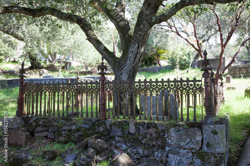 Tombstone iron fence in old cemetery