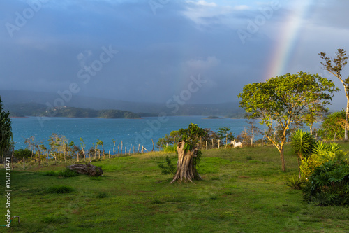 Rainbow over the lake photo