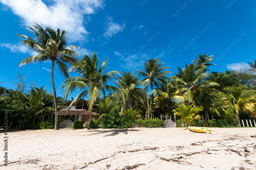Beautiful tropical island with coconut trees Beautiful tropical island with coconut trees