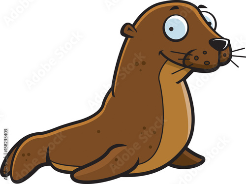 Seal Smiling