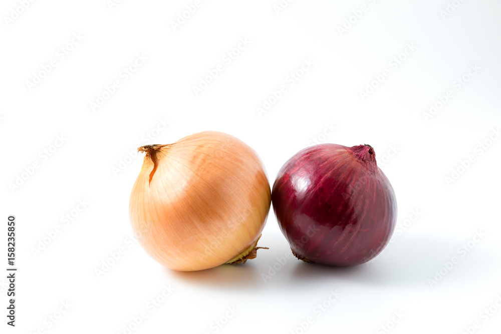 onion isolated on white background onion isolated on white background