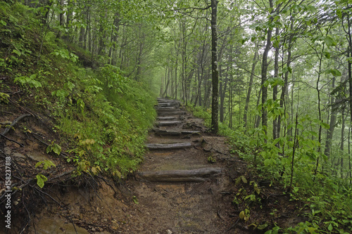 Foggy trail in the Mountains