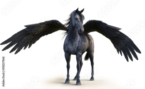 Mythical black Pegasus posing on white isolated background. 3d rendering
