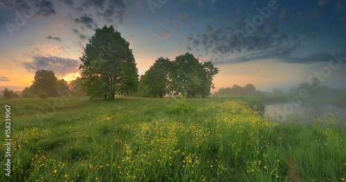 Summer sunrise