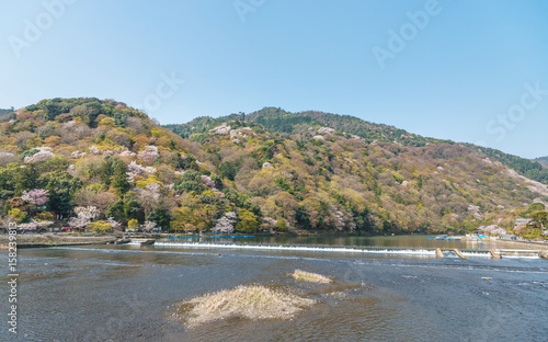 京都嵐山の春景色