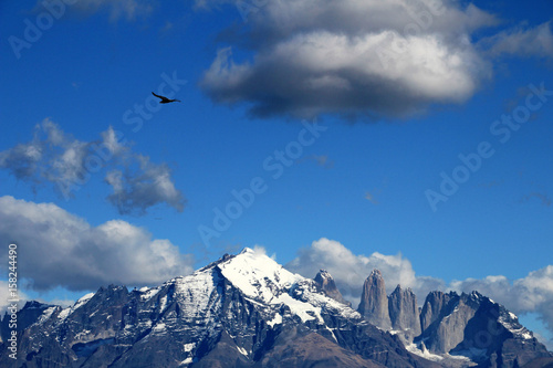 Andean condors fly in Parque Nacional Torres del Paine in Chile © reisegraf