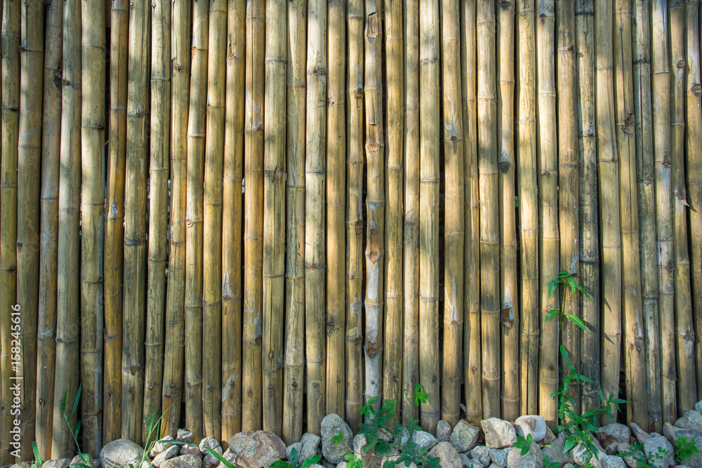 Obraz premium Bamboo wall as the backgroud texture