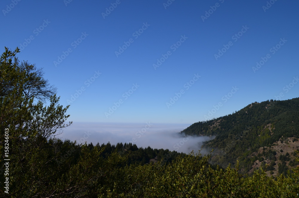 foggy view