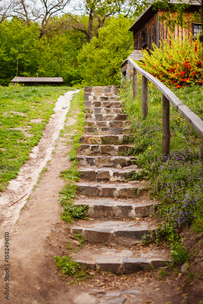Old stone staircase in the countryside with violet little flowers along it