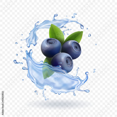 Blueberry and water splash isolated on transparent background. Realistic dairy prodact