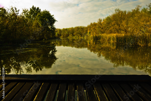 Boat is sailing through swamp channels on a sunny morning at protected natural swamp area of Carska bara, large natural habitat for birds and other animals in north Serbia photo