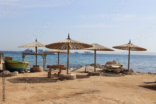 The Egyptian coast