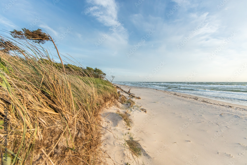 weststrand darß