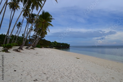 Philippines beach with coconut and ocean view