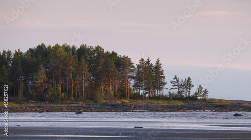 Low Tide At The Coast Of The White Sea, Russia. Severe Northern Russian Landscape With  Deserted Sandy Beach, Ridge Of Rocks And A Small Grove Of Pine Trees, Illuminated By The Rays Of The Setting Sun