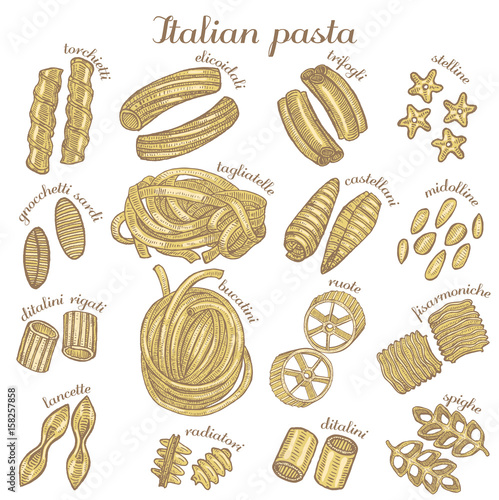 vector colored set of hand drawn different pasta shapes