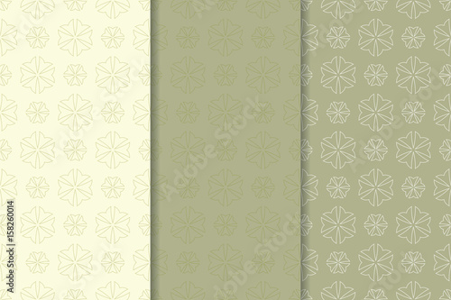 Floral seamless pattern. Green olive flower set