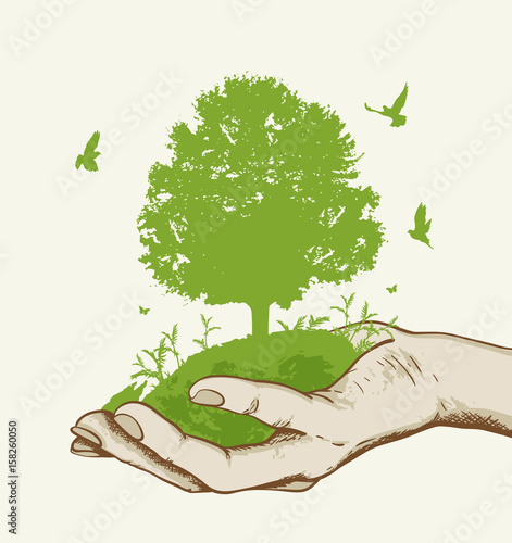 Green tree in the hand