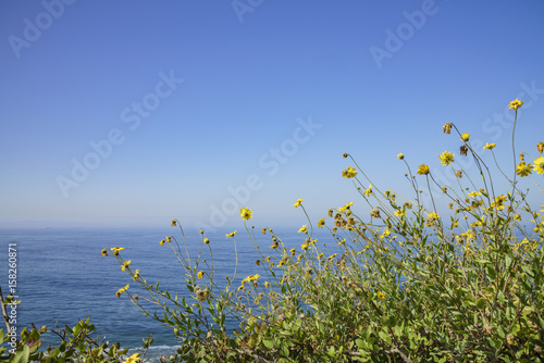 Beautiful scene around Point Fermin Lighthouse photo